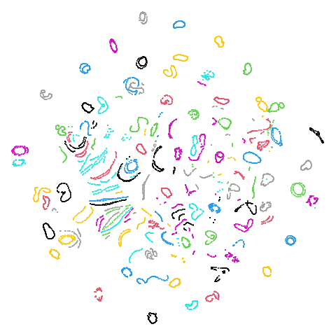 coil100 t-SNE