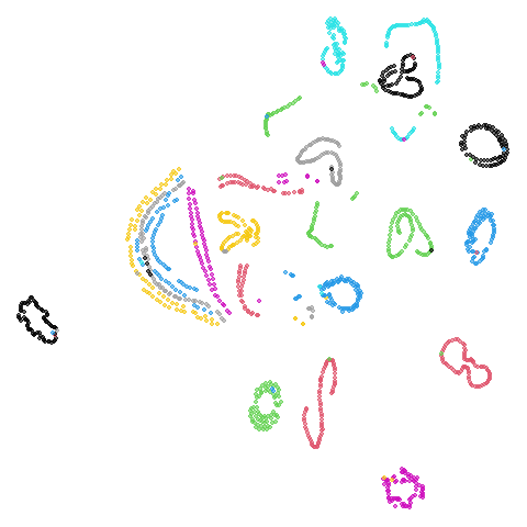 coil20 t-SNE