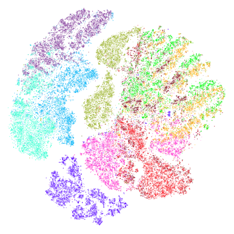 fashion t-SNE