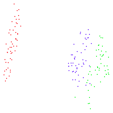 iris t-SNE