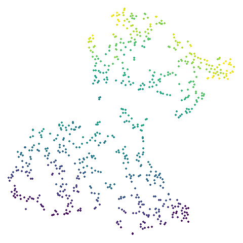 isofaces t-SNE