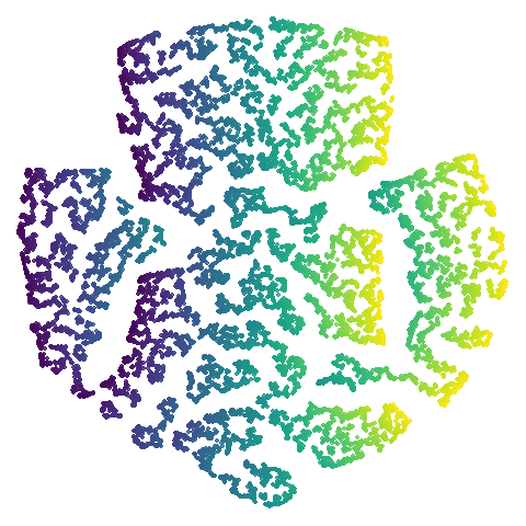 swiss t-SNE