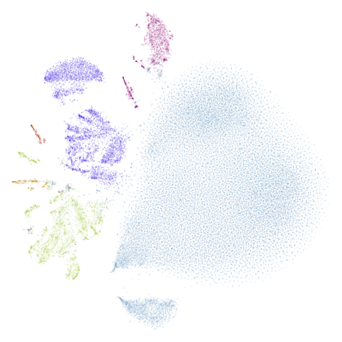 macosko2015pca100 t-SNE