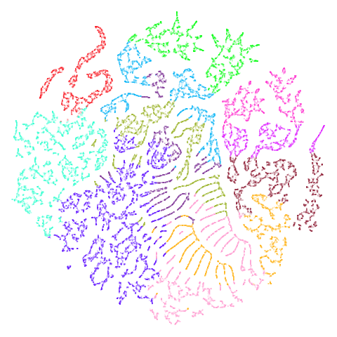 mammoth t-SNE