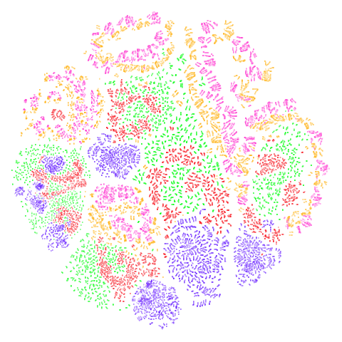 norb t-SNE