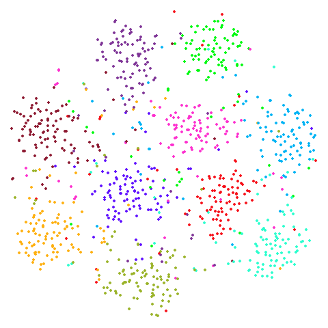 s1k t-SNE