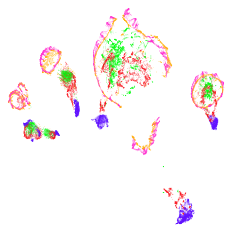 norb-knn_pca