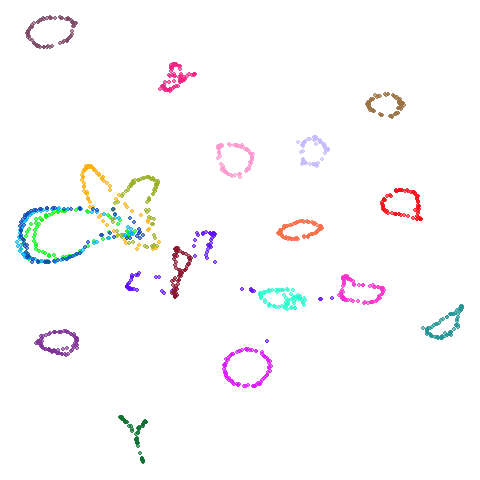 coil20-pacmap