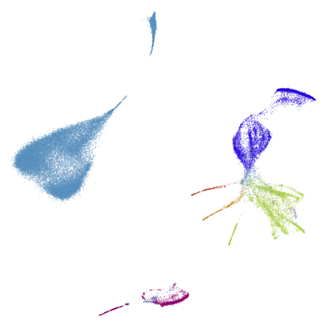 macosko2015-pacmap