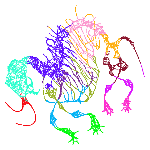 mammoth-pacmap