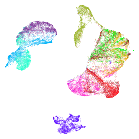 fashion-umap-pca