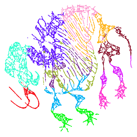 mammoth-umap-pca