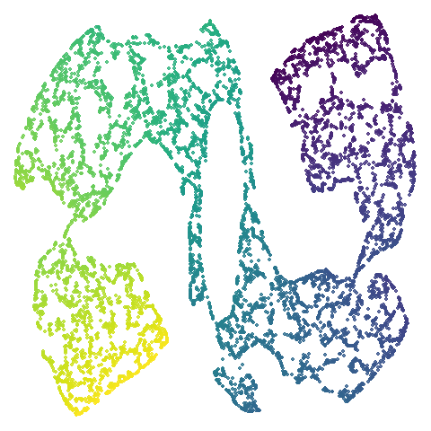 scurvehole-umap-pca