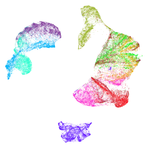 fashion-umap-pca100
