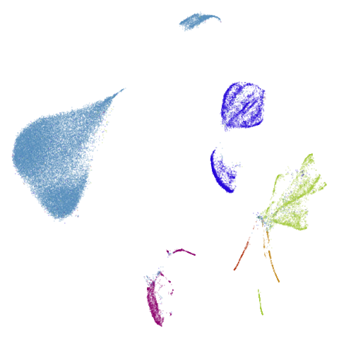 macosko2015-umap-pca100