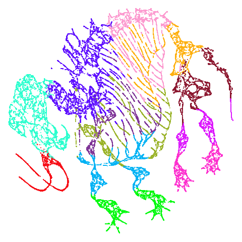 mammoth-umap-pca100
