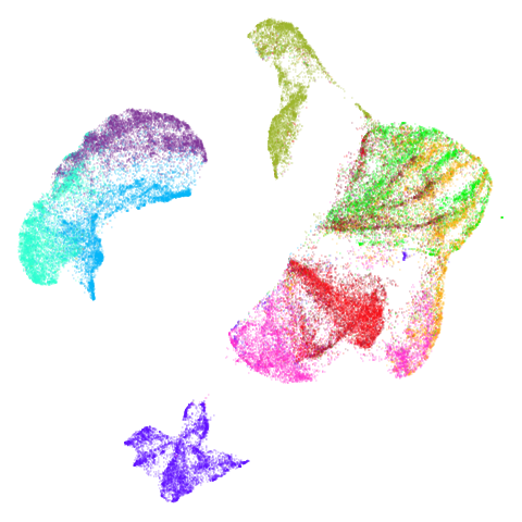 fashion-umap